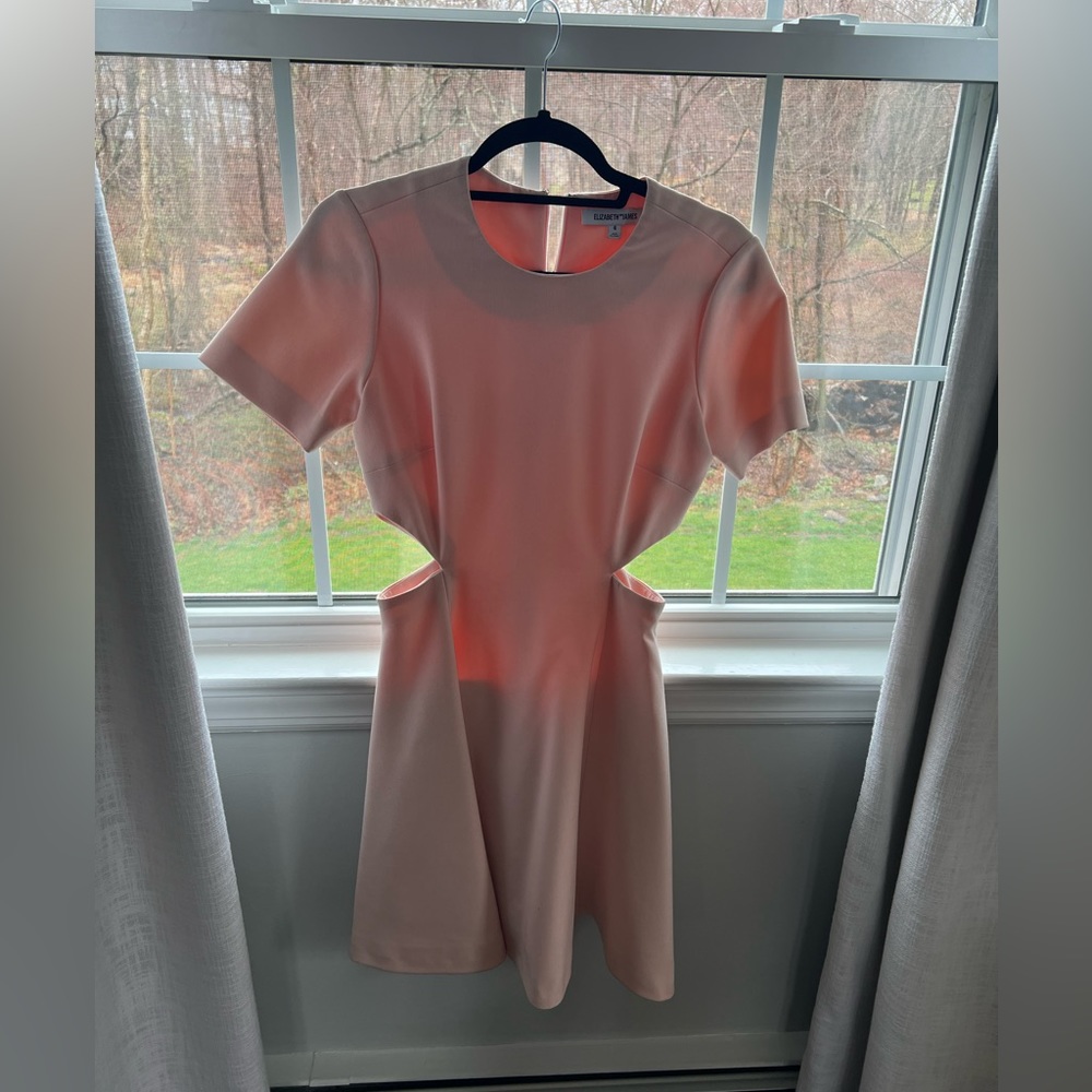 Elizabeth and James Fit and Flare Dress